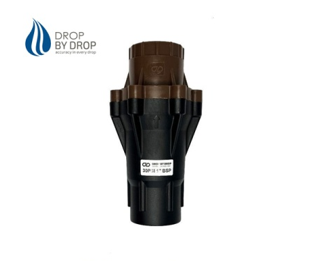 Регулятор давления 1"ВР DBD